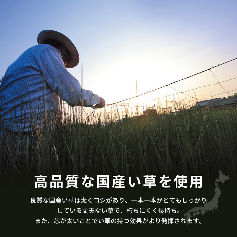 国産い草ラグ (裏貼り) 月光