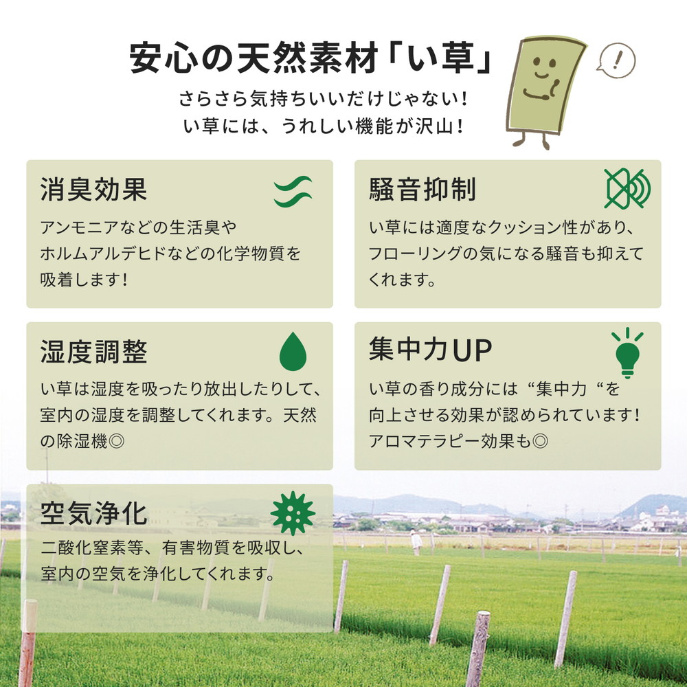 国産い草ラグ (裏貼り) 月光