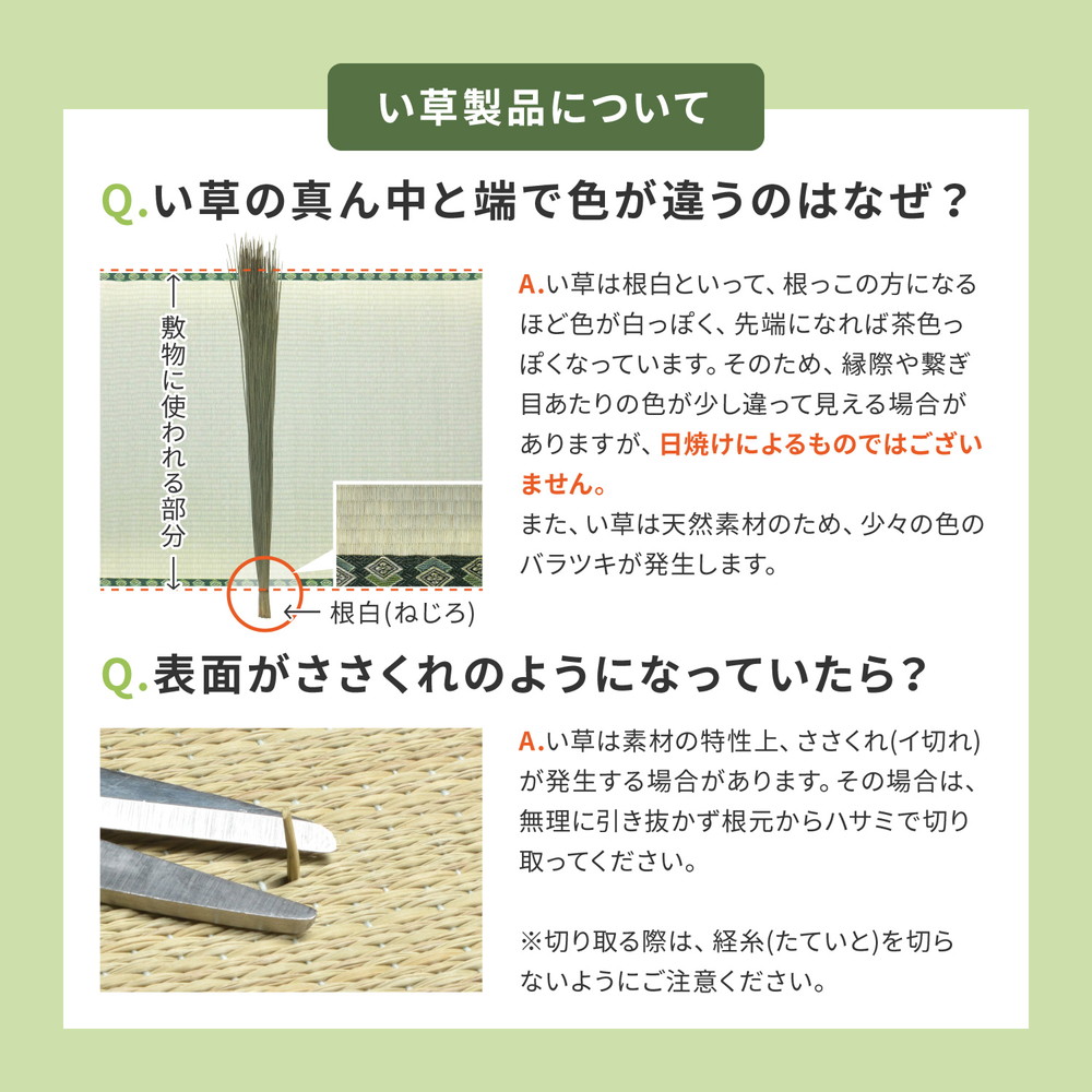 はっ水 ふっくらウレタン入り い草ラグ