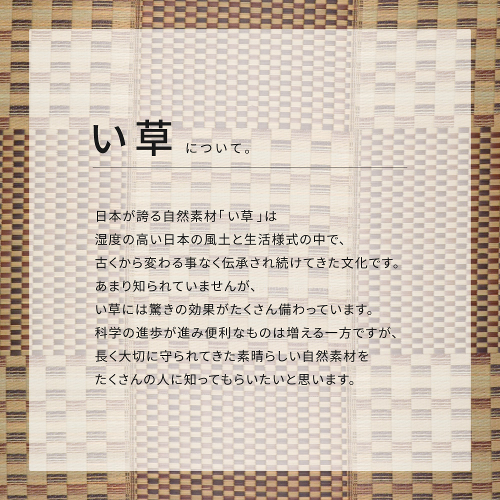 はっ水 ふっくらウレタン入り い草ラグ
